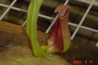 ���������^