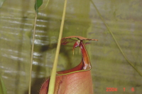 �s���傪����^.