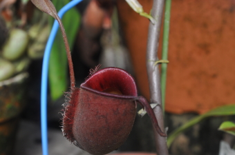 �i�������_����j